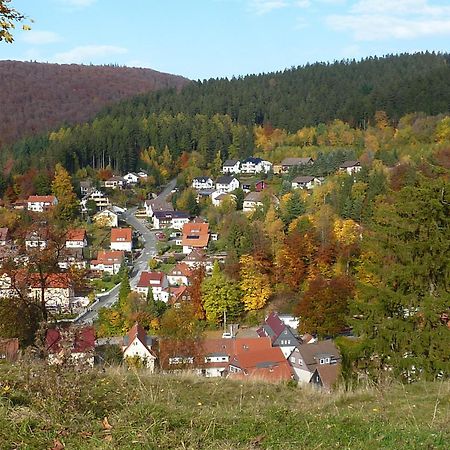 Pension Rheingold Garni Bad Grund Exteriér fotografie