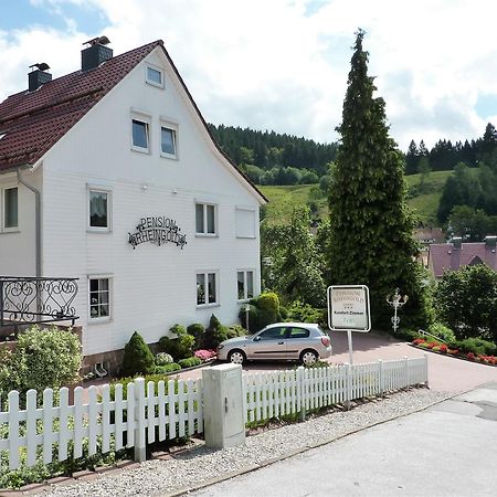 Pension Rheingold Garni Bad Grund Exteriér fotografie