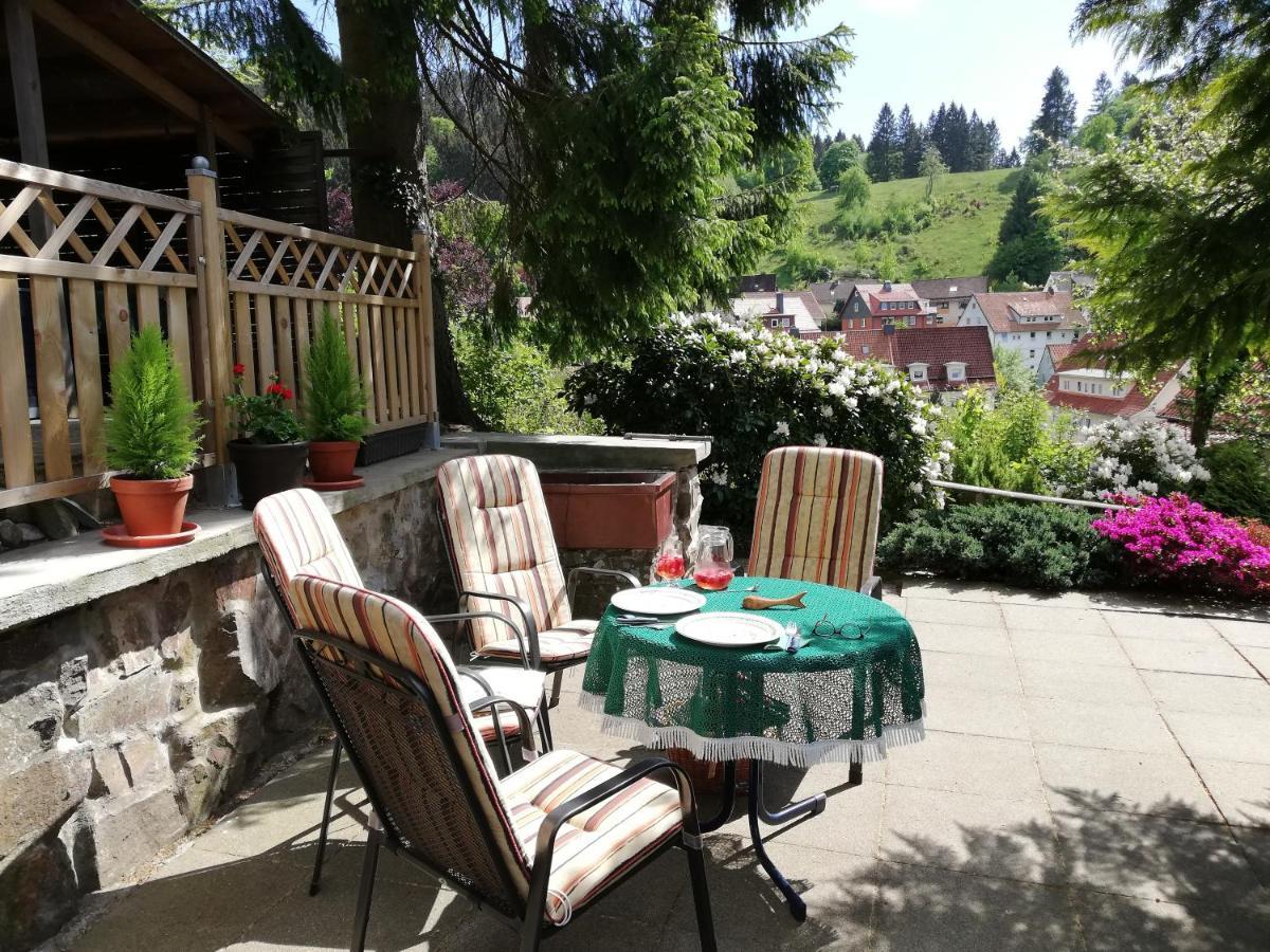 Pension Rheingold Garni Bad Grund Exteriér fotografie