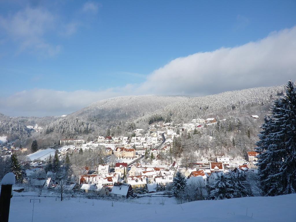 Pension Rheingold Garni Bad Grund Exteriér fotografie
