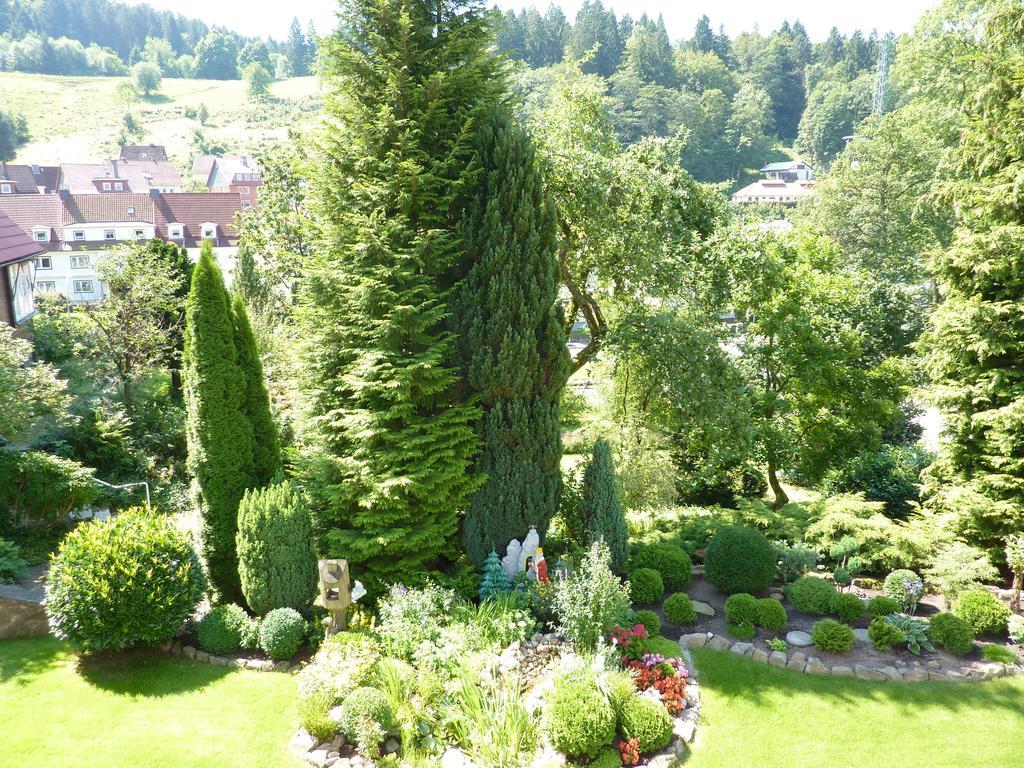 Pension Rheingold Garni Bad Grund Exteriér fotografie