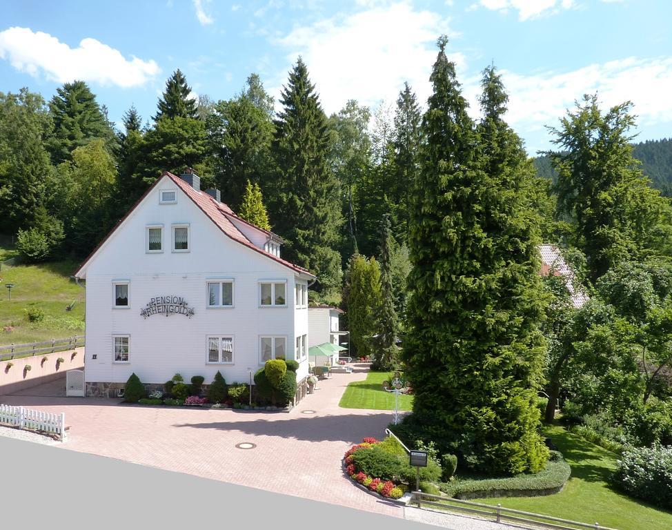 Pension Rheingold Garni Bad Grund Exteriér fotografie