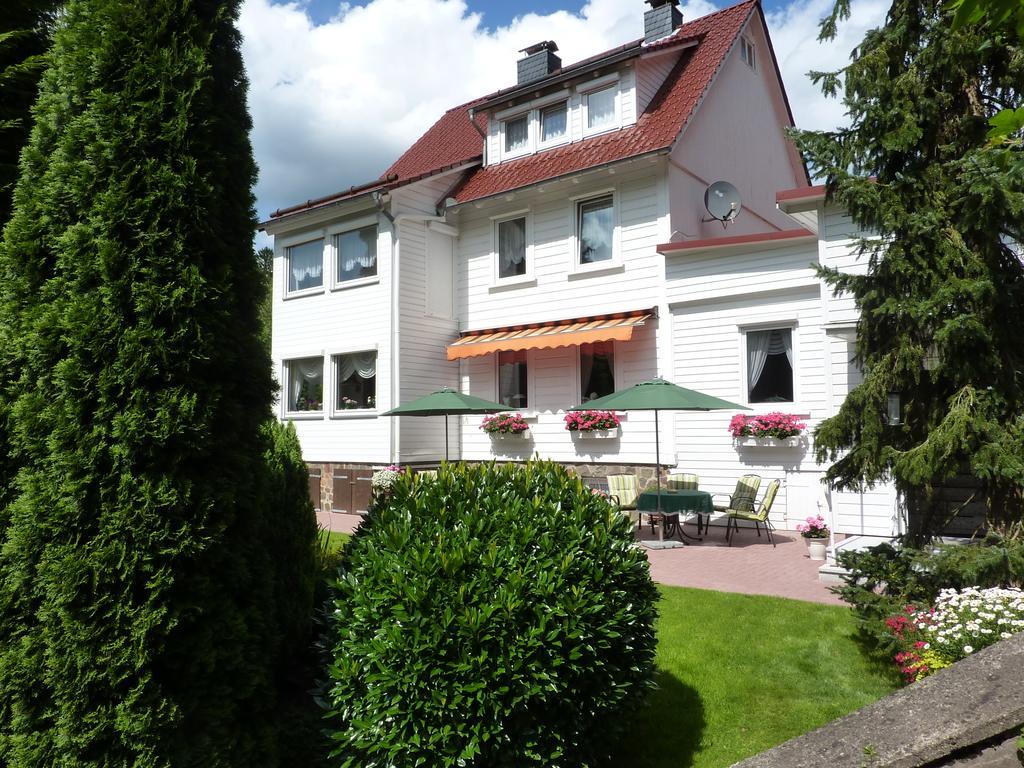 Pension Rheingold Garni Bad Grund Exteriér fotografie