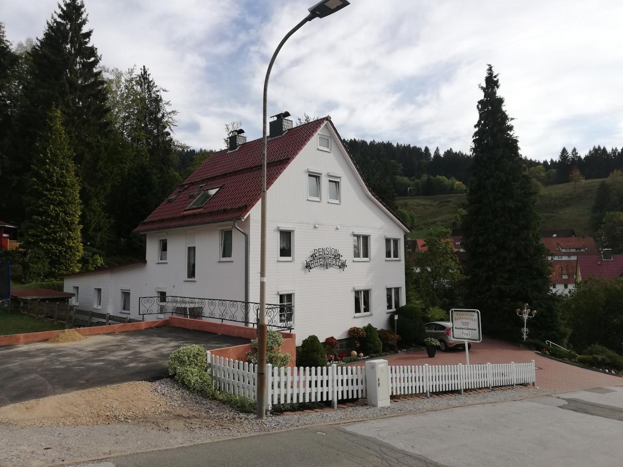 Pension Rheingold Garni Bad Grund Exteriér fotografie