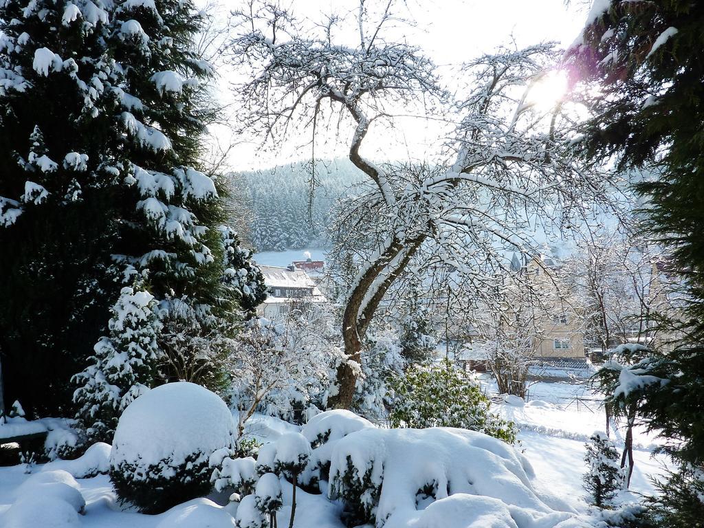 Pension Rheingold Garni Bad Grund Exteriér fotografie