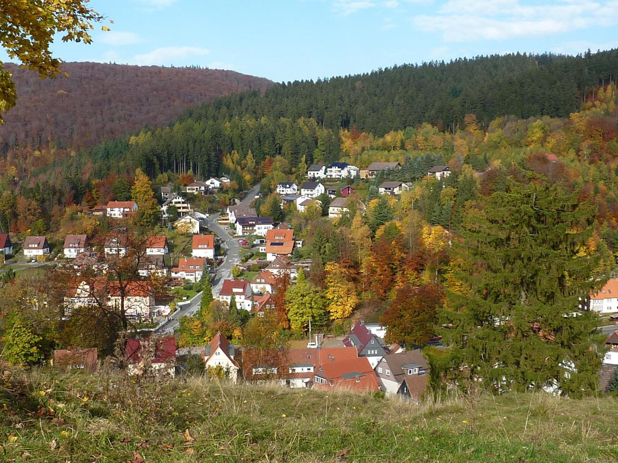 Pension Rheingold Garni Bad Grund Exteriér fotografie