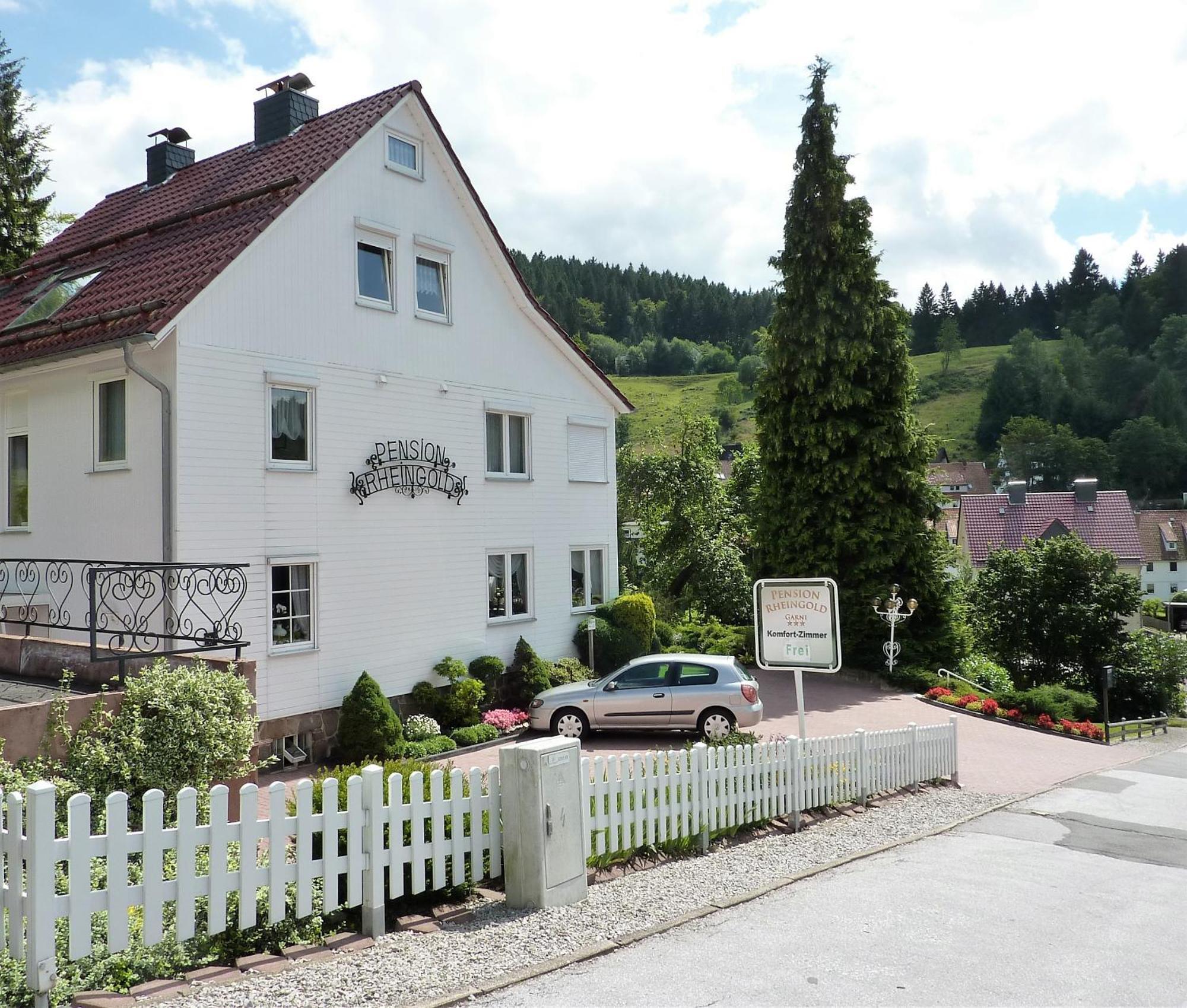 Pension Rheingold Garni Bad Grund Exteriér fotografie