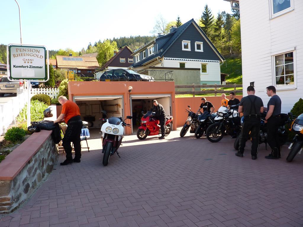 Pension Rheingold Garni Bad Grund Exteriér fotografie