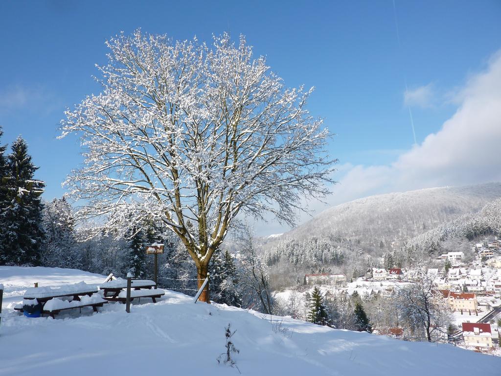 Pension Rheingold Garni Bad Grund Exteriér fotografie